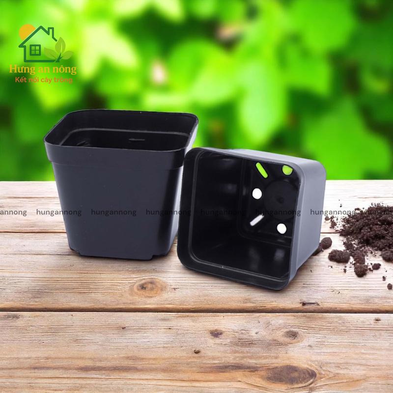 CNVDL2 - Sét 50 chậu nhựa vuông đen ươm trồng cây size 6.7x6.5cm