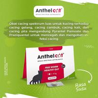 Gambar KALBE Anthel Cat Obat Cacing Kucing - 1 Tablet dari Kalbe Animal Health Kota Administrasi Jakarta Timur 3 Tokopedia