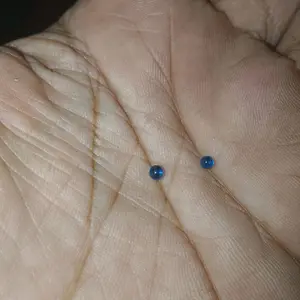 mustika tanjung biru samudro