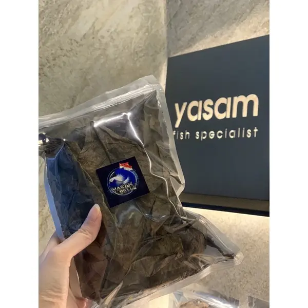 YASAM - (Super Dark Indo Grade) Ketapang Leaves Indian Almond