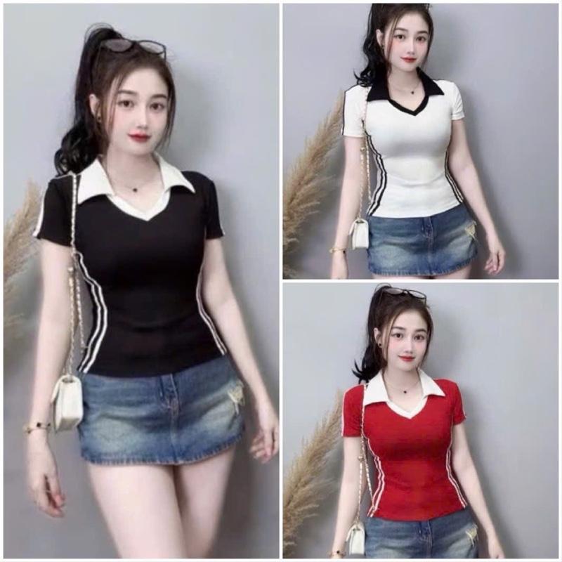 Áo polo nữ sọc hack dáng (582) chất thun tăm lạnh có giãn mặc mát