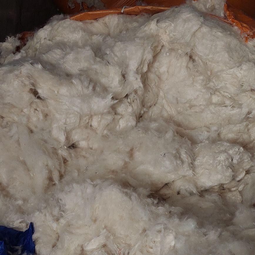 2 Bantal dan 1 Guling isian Full Kapuk Randu 100% 2 Bantal dan 1 Guling isian Full Kapuk Randu 100%