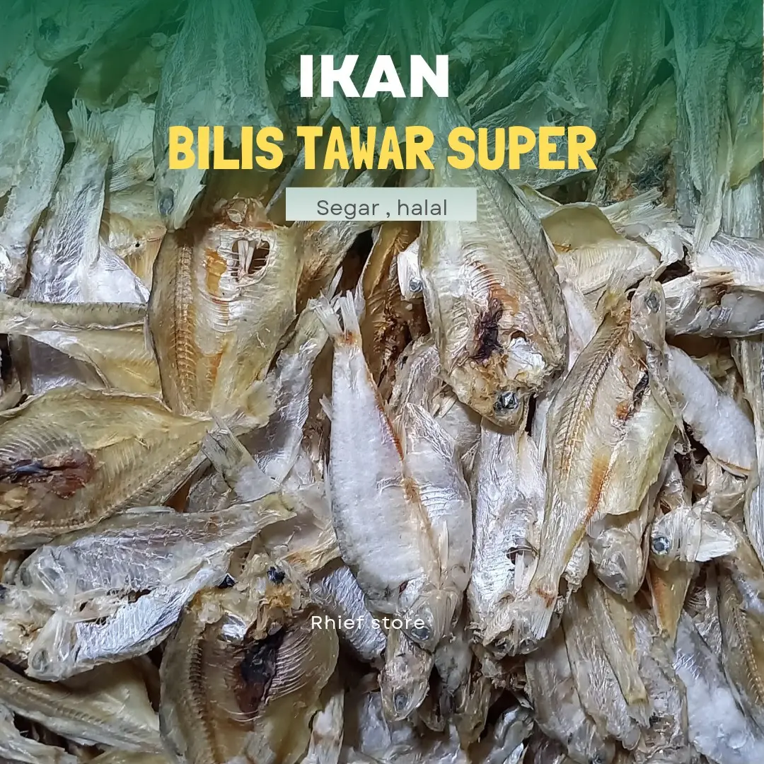 bilis tawar super ikan asin termurah kualitas terbaik beseller Food Frozen Segar Laut