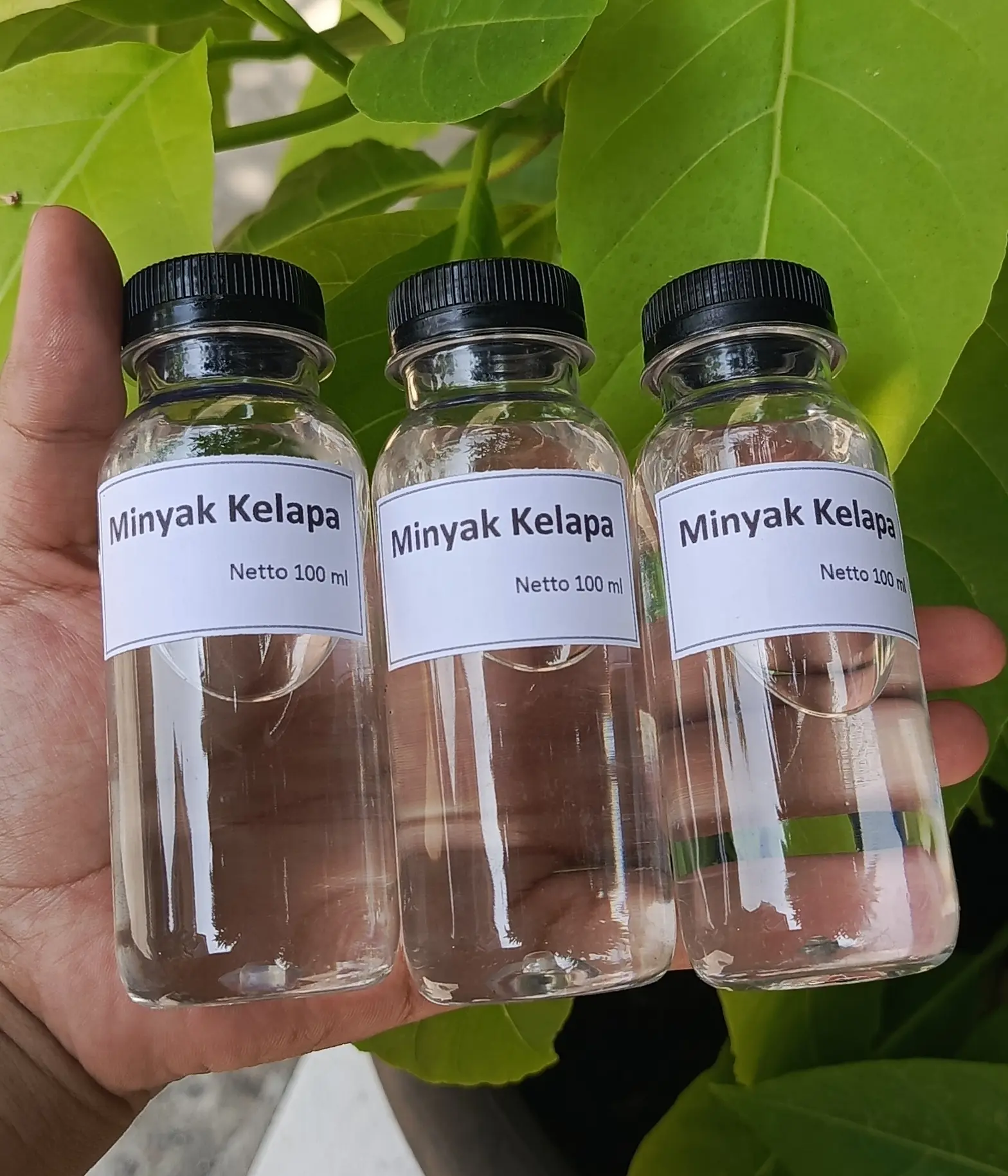 Minyak Kelapa kemasan 100ml