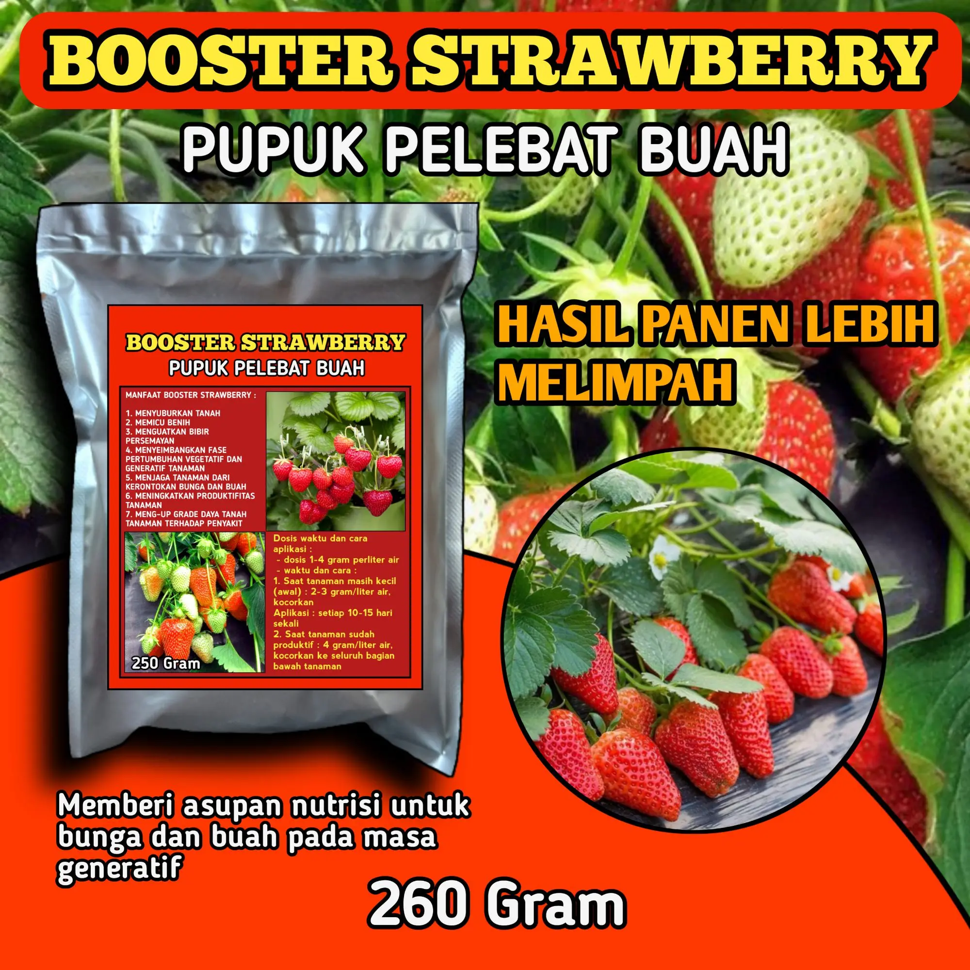 Pupuk organik Booster strawberry pupuk pelebat buah nutrisi untuk bunga dan buah anti rontok 250gram