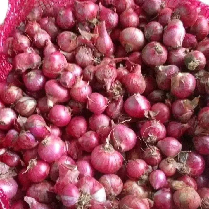 Bawang Merah Kering 1Kg  Spices-Bumbu Dapur Kering-Rempah Bumbu Masak Food Masakan Lezat 3