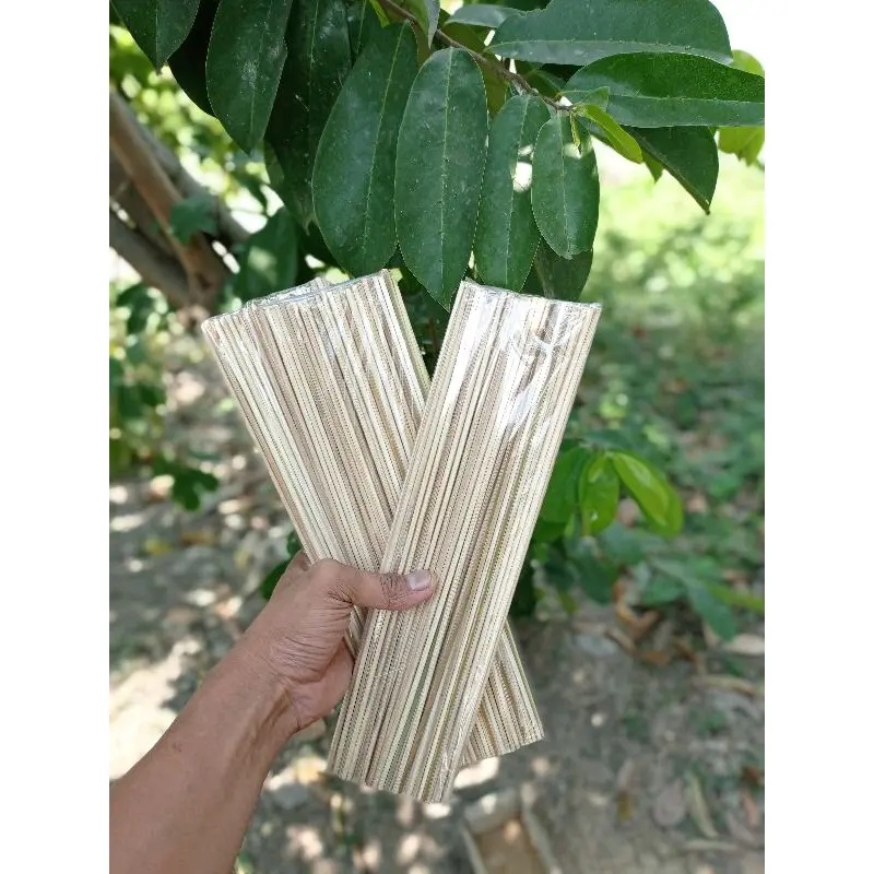 100grm TUSUK SEMPOL/PAPEDA/CIMOL/CILOR 30CM Kitchenware