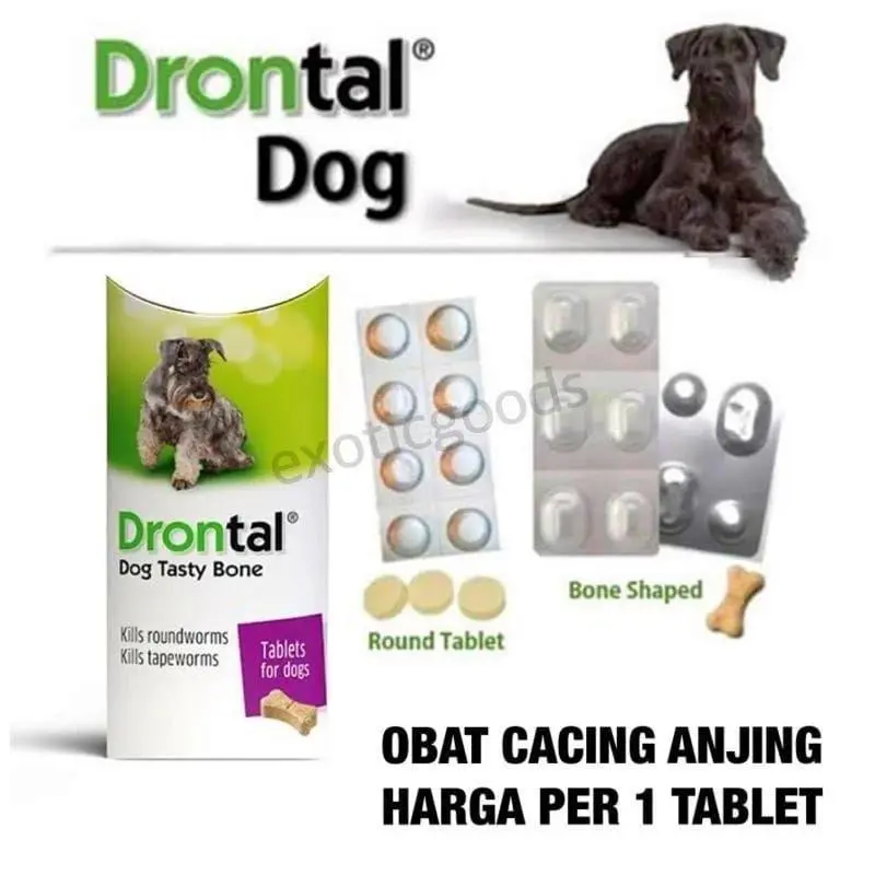 EXP2028 Obat Cacing Anjing Drontal Plus Dog Dewormer Round Tablet 1 Tablet Dewasa Puppy