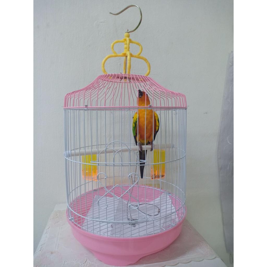 (1xPcs) C300 Bird Sugar Glider Cage [Random Color] 30.5cm Diameter X 50.8cm Height Sangkar Burung