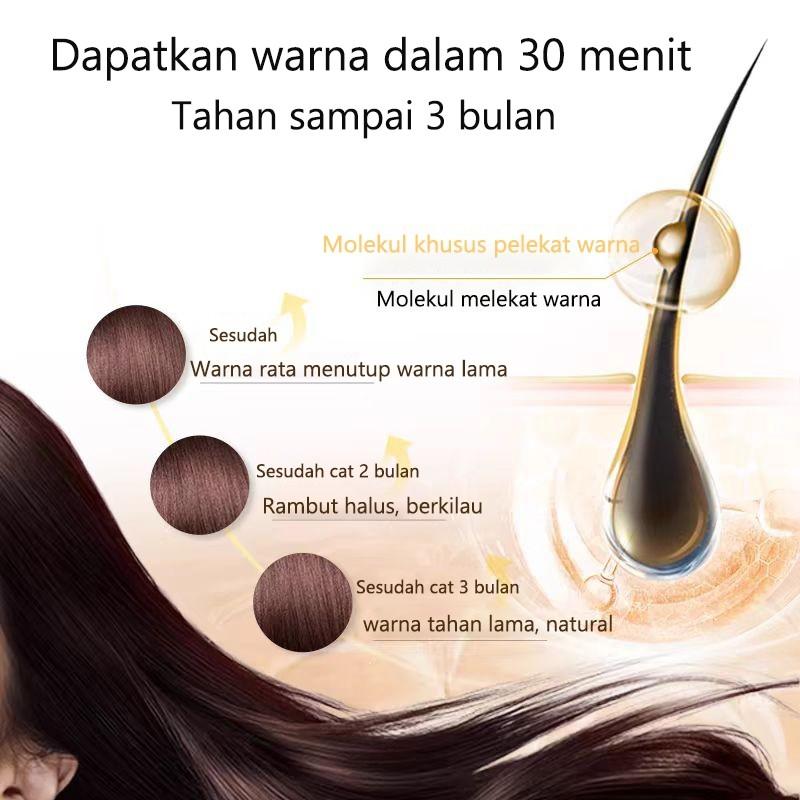 Pengiriman Cepat Menutupi Uban Coklat Cool Hair Color Tanpa Pemutihan Pewarna Rambut Cat Rambut Tidak Merusak Kulit Kepala Cocok Untuk Semua Kulit Milk Tea Golden Brown Burgundy Cranberry Red Penghitam Rambut Uban Warna 5