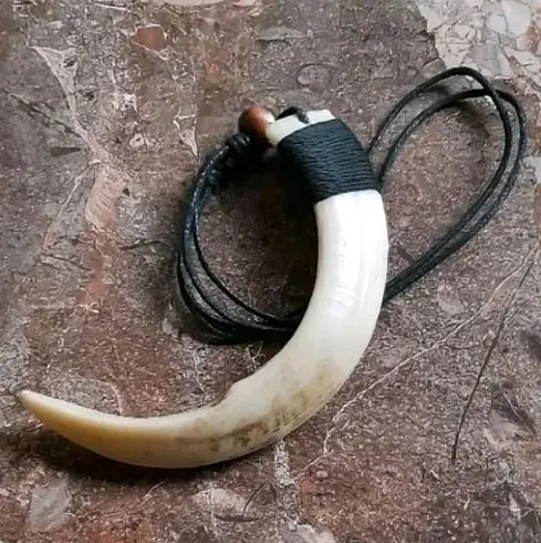 Taring Babi Asli dengan Tali Kulit Hitam Cocok untuk Dekorasi atau Koleksi