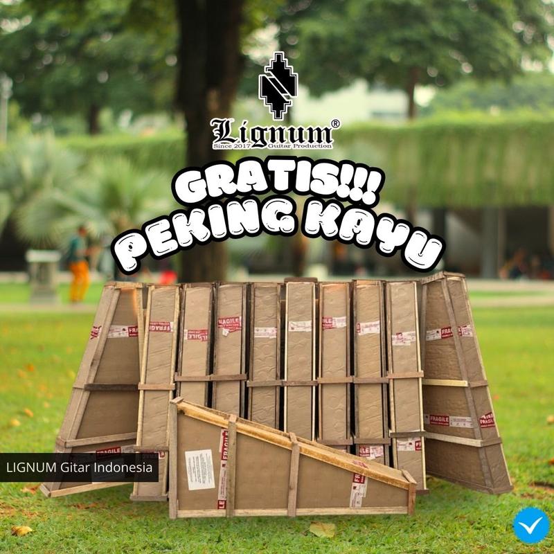 Gitar Akustik Yamaha Seri 02 (Gratis Peking Kayu) 3