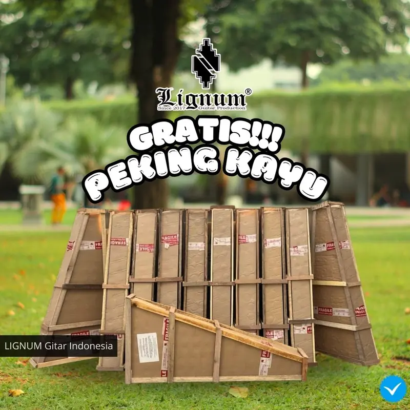 Gitar Akustik Yamaha Seri 02 (Gratis Peking Kayu) 2