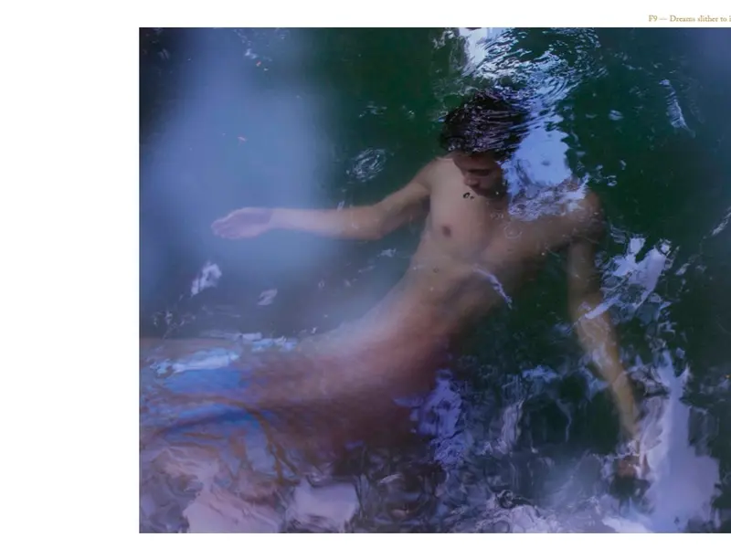 PROPHECY by Mikael Aldo — A dark yet tender, hazy yet precise photobook 4