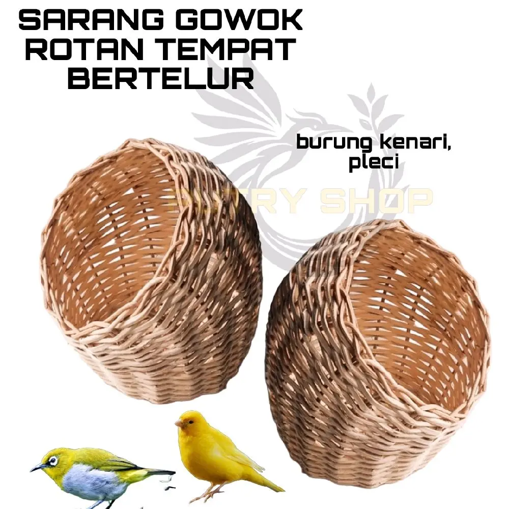 Sarang burung kenari gowok