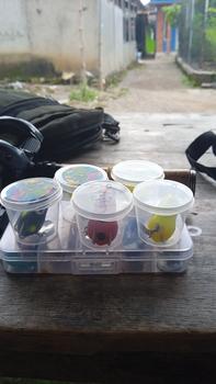 Product Review of Lure Soft Frog Mini umpan pancing Ukuran 3cm Berat 5grm Untuk Mancing Casting Ikan Gabus from p**_ 0