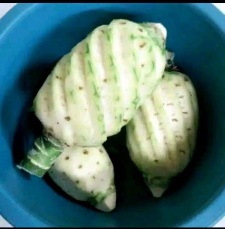 Buah Nanas Segar Jumbo Fresh Cocok Untuk Rujak Dan Bahan Manisan Siap Kirim Secepatnya Buah Nanas Segar Jumbo Fresh Cocok Untuk Rujak Dan Bahan Manisan Siap Kirim Secepatnya