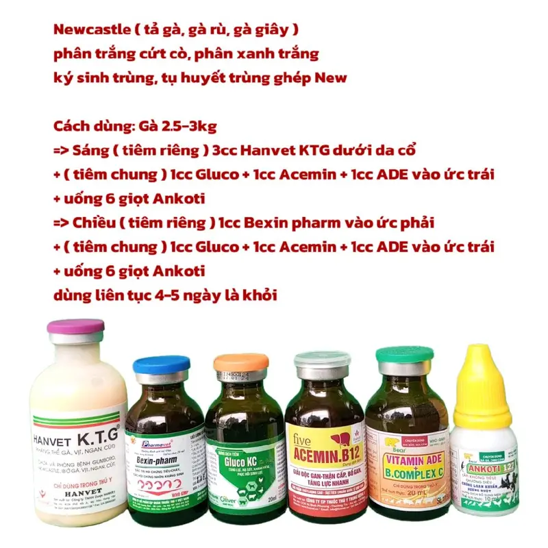 Bộ Newcastle, tả gà, gà rù, ghép tụ h trùng, ký sinh trùng m, dung dịch tiêm, uống. 0