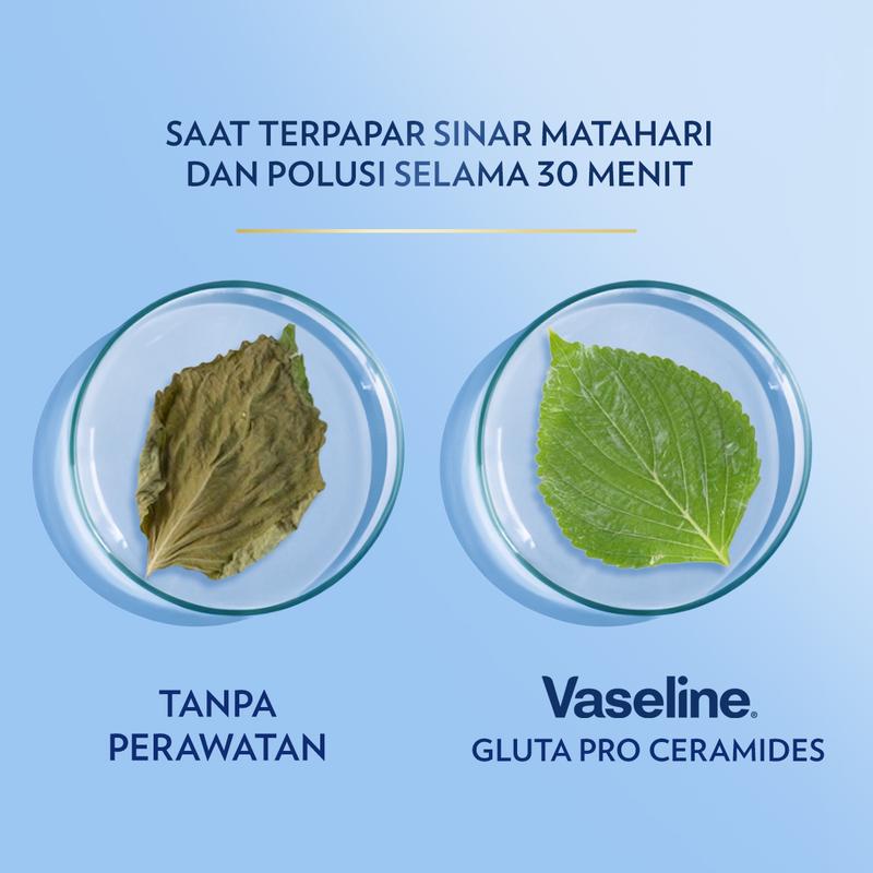 Vaseline Healthy Bright Spf24 400Ml Twin Pack Twin Pack 4