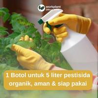 Gambar Workplant - Neem Oil Refill Pestisida Nabati Pembasmi Hama Dan Jamur Semua Jenis Tanaman Hias dari workplant official Kota Surabaya 4 Tokopedia