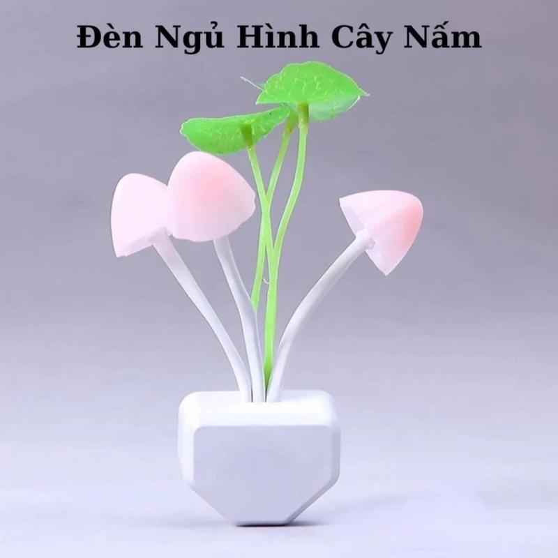 Combo 3 đèn ngủ cảm ứng thông minh hình nấm. ledkhaian