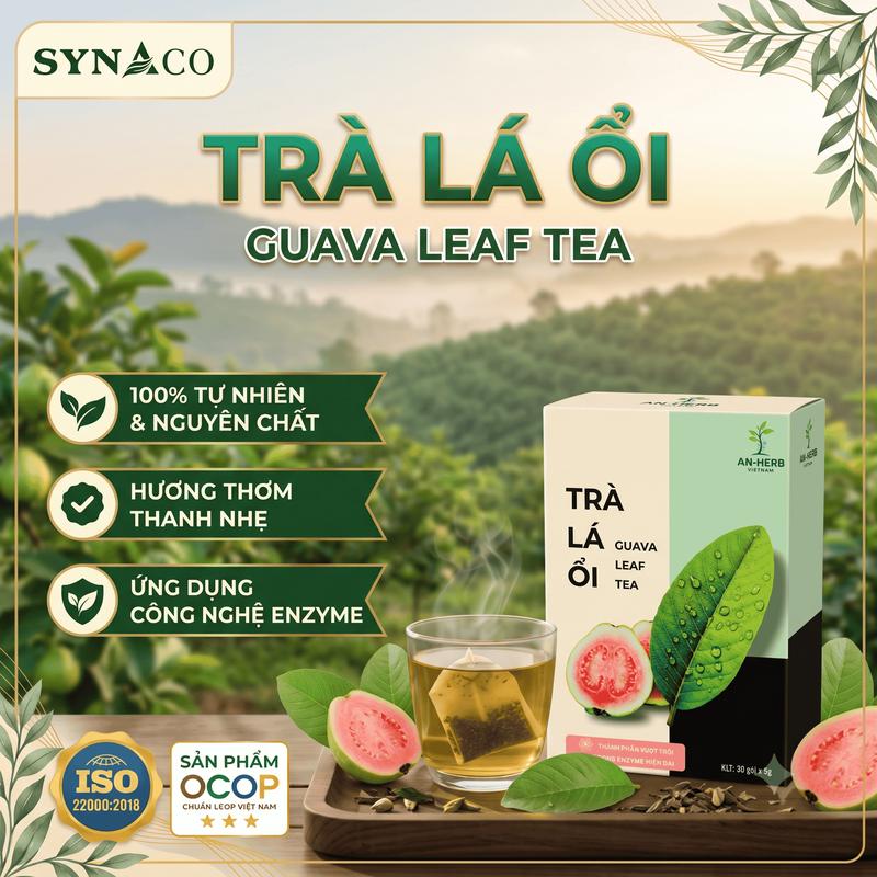 Trà Lá Ổi - 30 túi lọc x 5g - Thành phần thảo mộc hỗ trợ tiêu hóa và duy trì vóc dáng | SYNACO