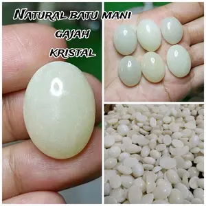 Natural Batu mani gajah kristal bisa jalan di air cuka