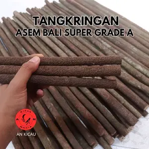 Tangkringan Asem Bali Super Grade A Panjang 65cm Cocok Untuk Murai Kacer Cucak Ijo Kenari Bahan Kayu Berkualitas Tinggi