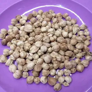 Kapulaga Kering Organik 50 gr dan 100 gr