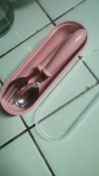Product Review of Baby Plain Stainless Spoon and Fork Set with Case Training Spoon for Toddlers from D**y 1