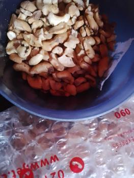 Product Review of PECAHAN Kacang Mete Sulawesi 250gram ( Vakum ) from m**e 1