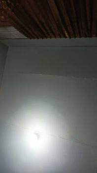 Product Review of Sputnik Chandelier Lampu Plafon Plafond Gantung LED Ceiling Lamp E27   (BELUM MASUK BOHLAM) from 1**r 2