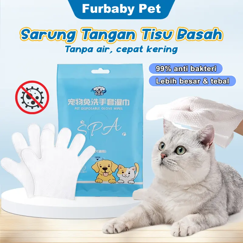 Glove Wipes 6pcs Pet Wipes Kucing Aning Tissue Basah kucing Untuk Mulut/Gigi/Telinga/Mata/Seluruh Tubuh sarung  tangan