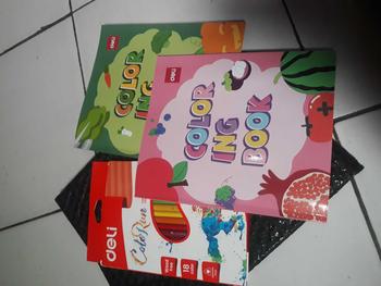 Product Review of Deli Pensil Warna- Bentuk segitiga ergonomis Warna cerah 12/18/24 Warna cat tidak beracun EC00120 Plastik Stationery from d**i 0