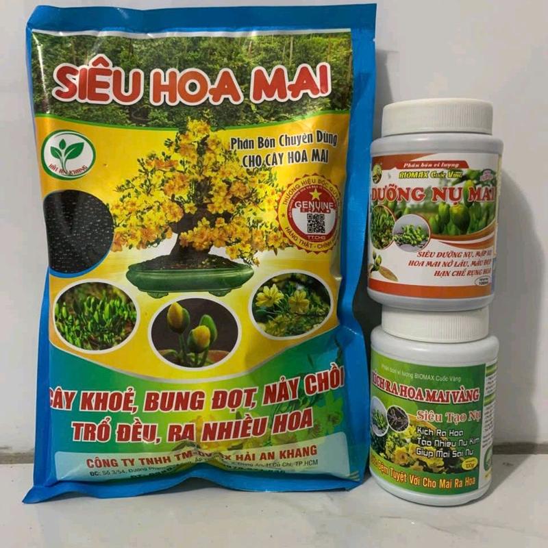 Bộ 3 sản phẩm kích ra hoa mai vàng