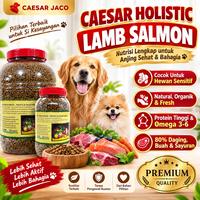 Gambar Caesar Makanan Anjing Dog Food Natural Holistic Lamb Salmon Tinggi Protein - 5kg, 80% Daging Segar, Anti-Alergi, Bulu Lebat & Berkilau, Nutrisi Premium, Cocok untuk Hewan Sensitif, Protein Tinggi & Omega-3-6 dari Caesar JacO Kota Administrasi Jakarta Barat 1 Tokopedia