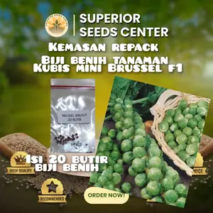 20 butir biji benih tanaman sayuran kubis mini Brussel sprout impor F1 (kemasan repack plastik klip)