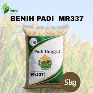 Agro Mulya Terlaris 5kg Benih Padi MR337 Unggul untuk Kalangan Tani