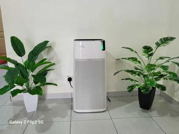 Product Review of Artificial tree pokok hiasan pisang keladi alocasia skybird dalam rumah dan luar rumah orkid sekali pasu from k**3 0