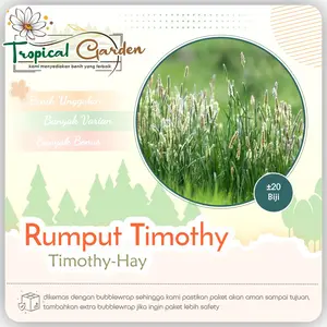 Benih Biji Rumput Timothy Hay Timothy Grass COD