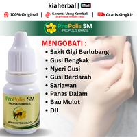 Gambar Propolis SM Obat Sakit Gigi Berlubang, Menghilangkan Ulat Gigi  Perontok Karang Gigi, Pembersih Gigi Kuning, Perontok Akar Gigi, Atasi Bau Mulut Gusi Bengkak dari kiaherbal Kota Administrasi Jakarta Barat 3 Tokopedia