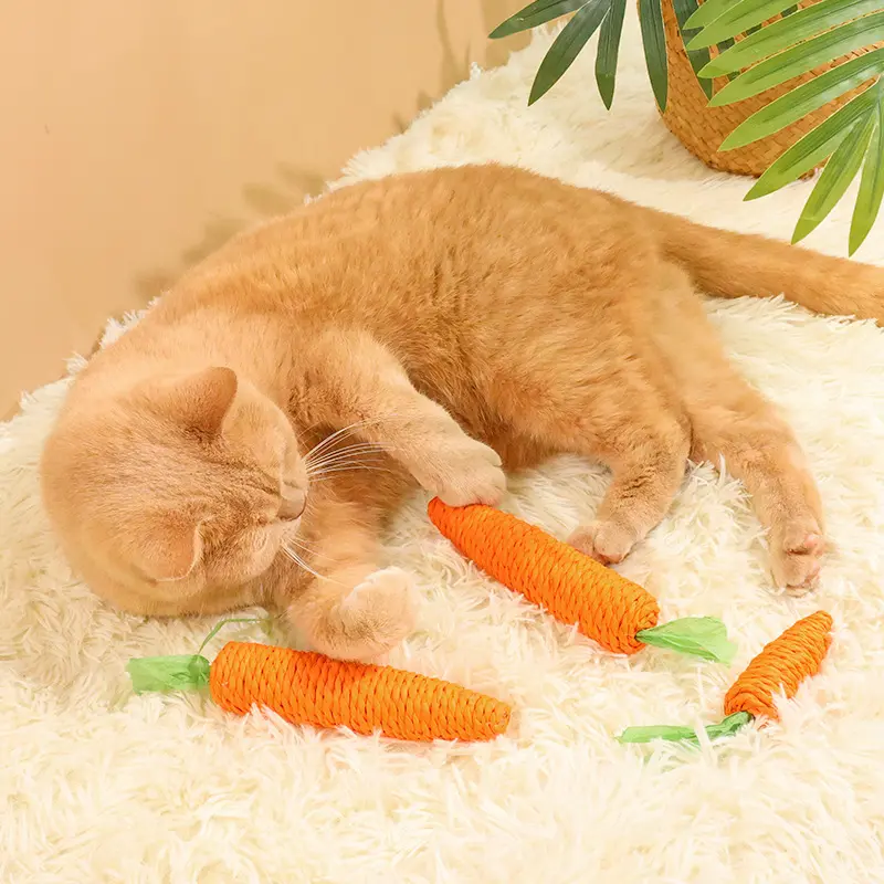 Cat Carrot Toy: Self pleasure, relieve boredom, bite resistant, grind teeth, grind claws, gnaw, tease, cat stick, paper rope, carrot toy