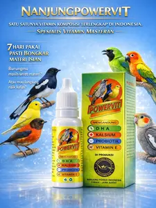 Nanjung Power - Powervit - vitamin burung - vitamin burung kicau - vitamin murai terbaik - multivitamin burung - vitamin burung agar gacor - vitamin burung lomba - booster suara burung - vitamin burung harian - vitamin burung untuk stamina - 10 mili