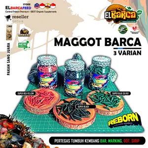 Elbarcafeed MAGGOT BARCA Pakan Ikan Channa Predator & Reptile Maggot BSF Kering Xtra Spirulina Feed Grade Premium Quality Organik Feed