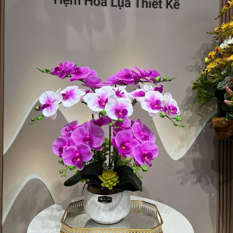 Chậu Hoa LAN HỒ ĐIỆP cao su cao cấp 7 cành hoa hoa trang trí Decor Decor Phòng Trang Trí Nhà Để Bàn Decor Bàn Hoa giả trang trí nhà hoa giả