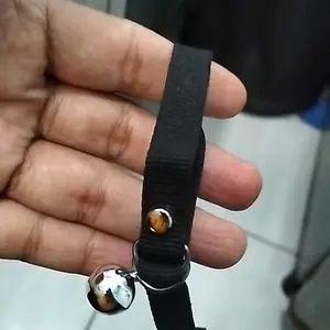 kalung tupai / sugar glider / hamster ukuran all size