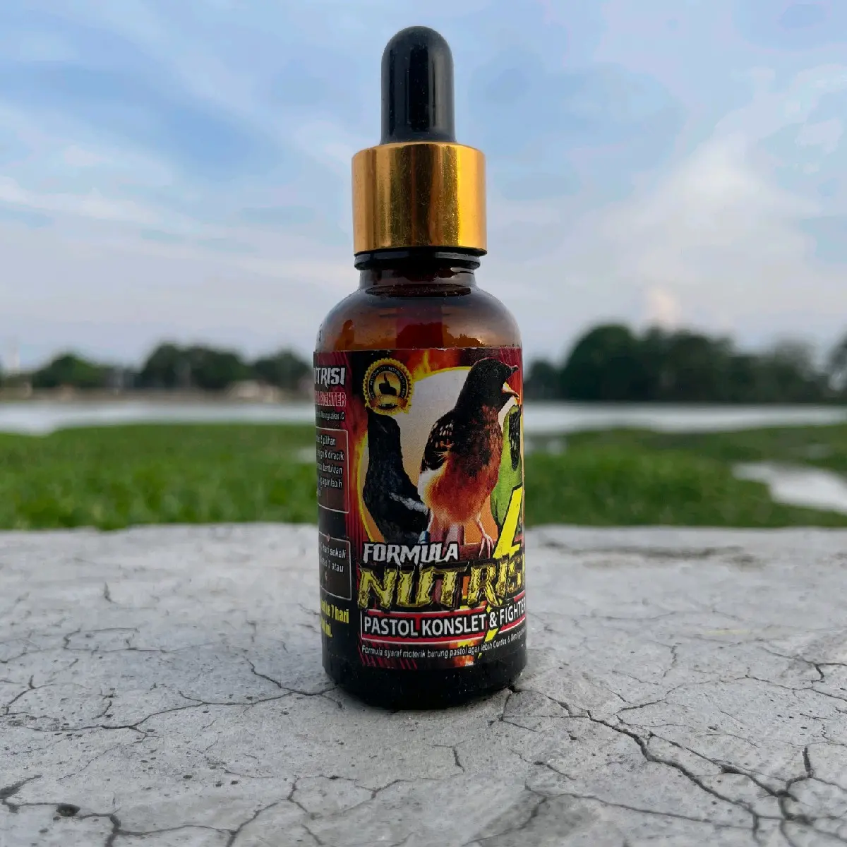 FORMULA NUTRISI TROTOL DAN PASTOL MURAI BATU