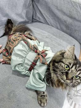 Product Review of 2025 Peplum Nabiha Baju Raya Kucing from A**🦕 0