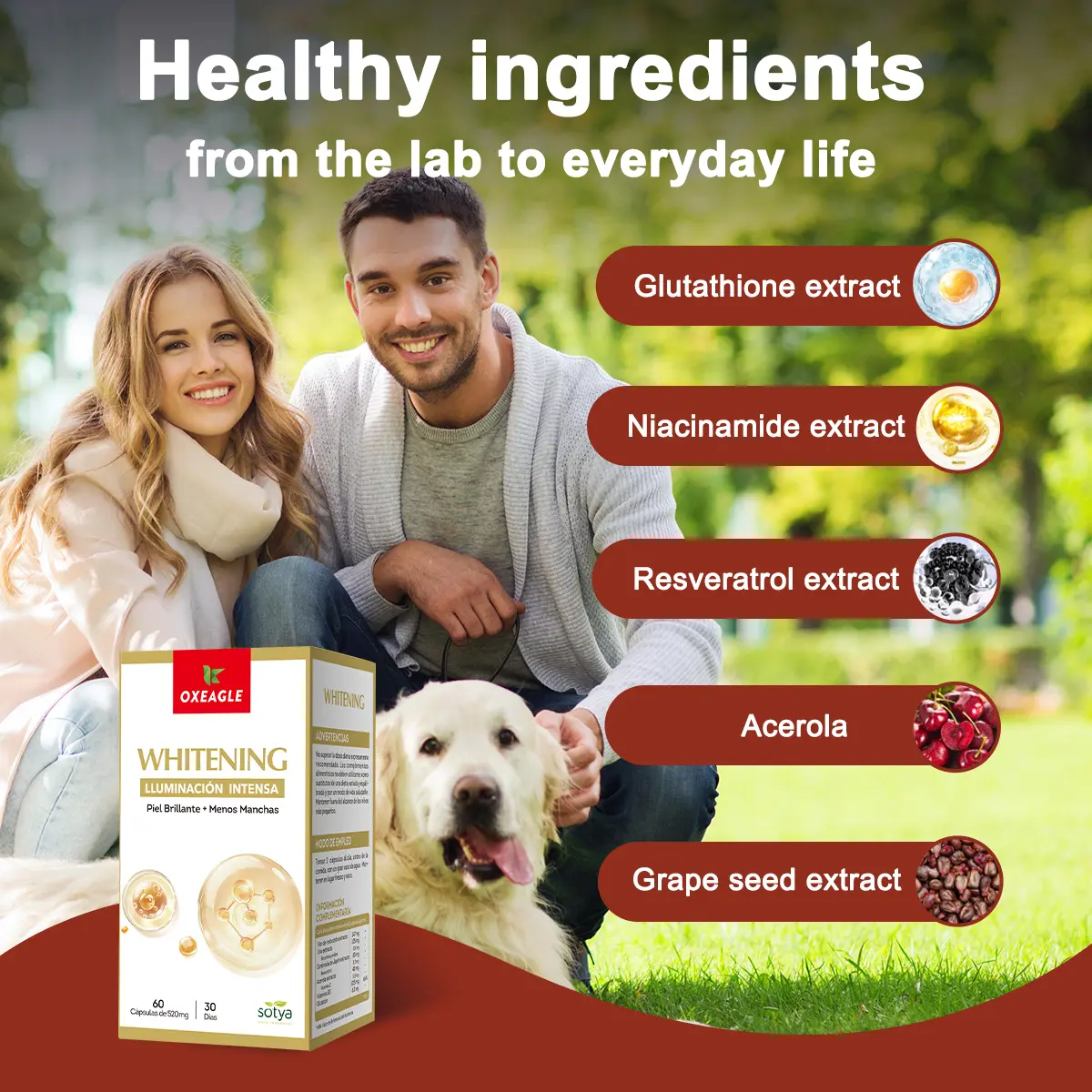 1PC【Sotya Oxeagle】Effective Whitening Grape Seed Extract Capsules | 60 Capsules | 30-Day Supply |  Natural Plant Ingredients | Brightens Skin | Beauty Care