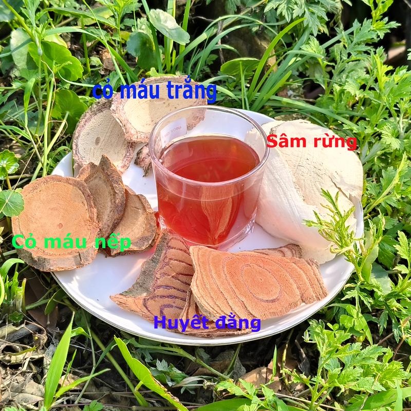  Cỏ máu 5 vị  mix sâm béo trắng  20 gói tặng 1 gói đau đầu hoa mắt chóng mặt mất ngủ rối loạn tiền đình đau xương khớp 